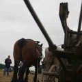 IMG_1286502