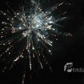 IMG_1287381