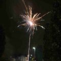 IMG_1287446