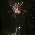 IMG_1287449