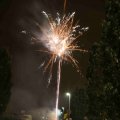 IMG_1287453
