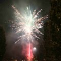 IMG_1287499