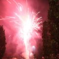 IMG_1287502