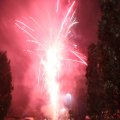 IMG_1287503