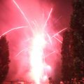 IMG_1287504