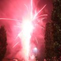 IMG_1287505