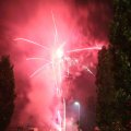 IMG_1287508