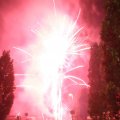 IMG_1287509