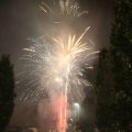 IMG_1287528