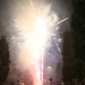IMG_1287556