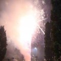 IMG_1287562