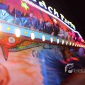 IMG_1287754