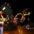 IMG_1287798