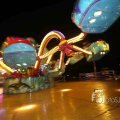 IMG_1287866