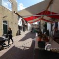 IMG_1290311