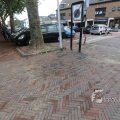 IMG_1290454
