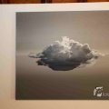 IMG_1292126