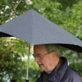 IMG_1292420