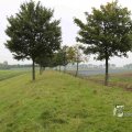 IMG_1292510