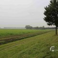 IMG_1292512