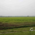 IMG_1292514
