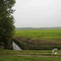 IMG_1292515