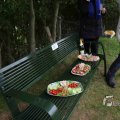 IMG_1292531