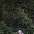 IMG_1293078