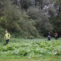 IMG_1293085