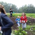 IMG_1293138