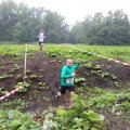 IMG_1293149