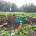 IMG_1293150