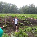 IMG_1293152