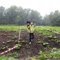 IMG_1293289