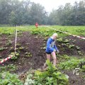 IMG_1293292