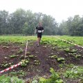 IMG_1293374