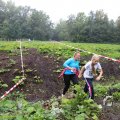 IMG_1293487
