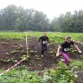IMG_1293542