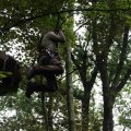 IMG_1294345