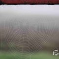 IMG_1295650