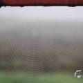 IMG_1295651
