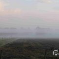 IMG_1295653