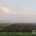IMG_1295654