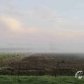 IMG_1295655