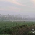 IMG_1295656