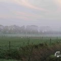 IMG_1295657