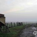 IMG_1295658