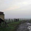 IMG_1295659