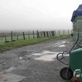 IMG_1295664