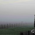 IMG_1295668